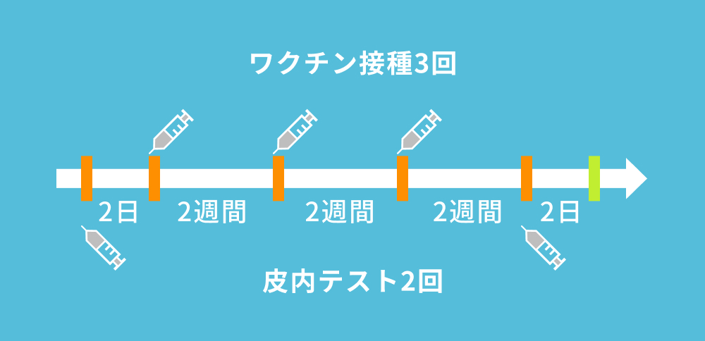初診後、約2週間ごとにワクチン接種と皮内テストを行いながら治療を進める流れを示した図。1コースは約6週間で構成され、計3回のワクチン接種と2回の免疫反応テストを実施するスケジュールになっている。